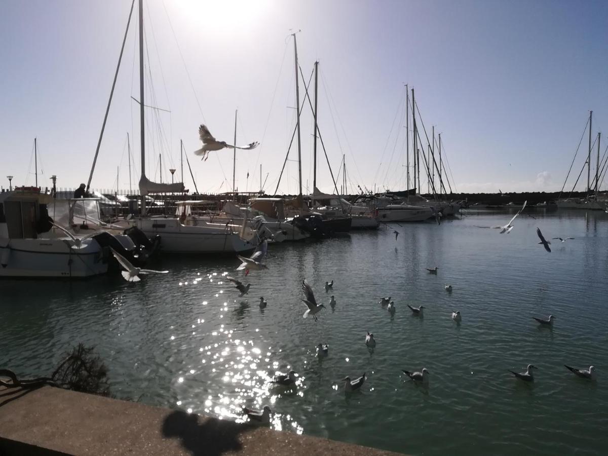 Отель Blue Marine Di Ostia Экстерьер фото
